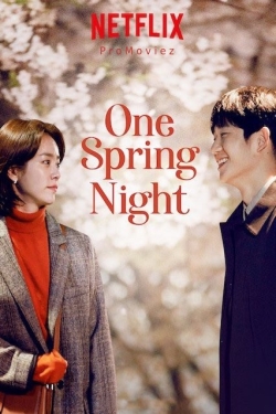  کره ای One Spring Night
